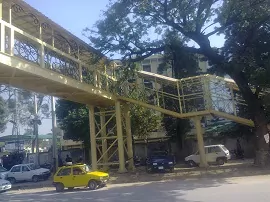 Rehabilitation Bridge Pindi